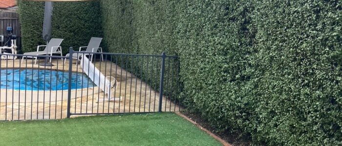 Hedge after pruning